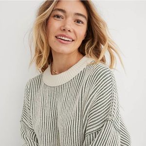 Aerie Beyond Chenille Sweater